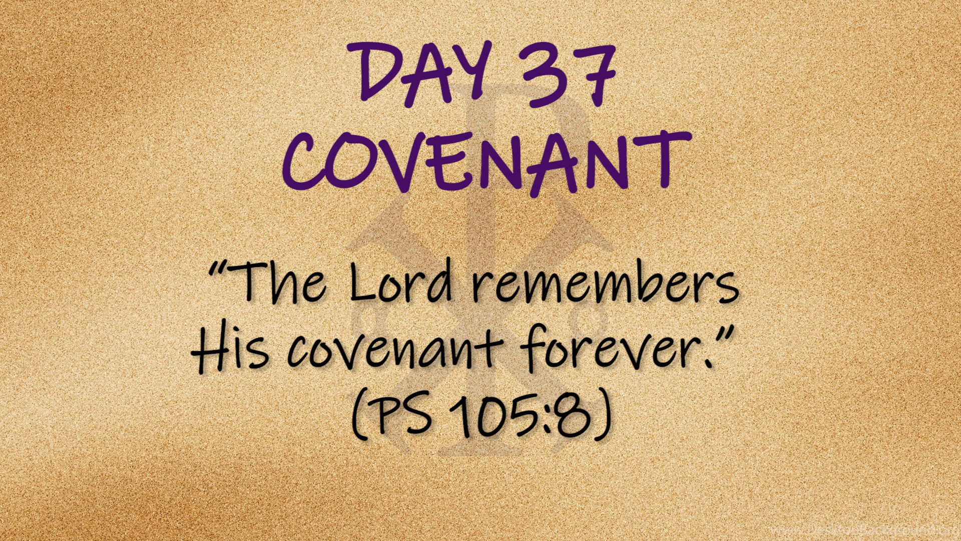 Featured image for “Side by Side – Day 37 “Covenant””