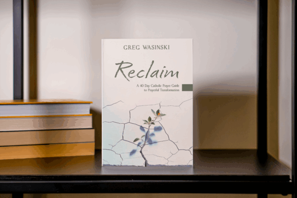 Reclaim