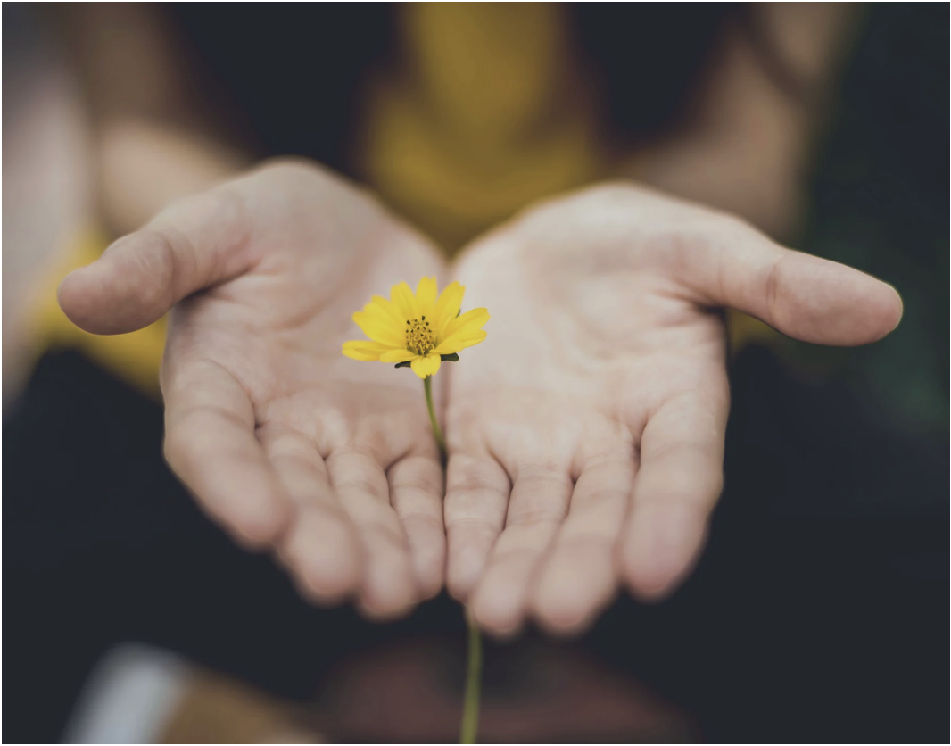 Featured image for “Godly Friendships”